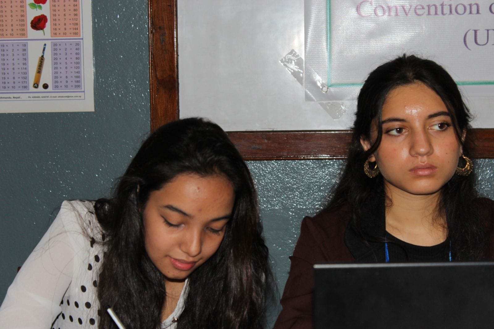 Model United Nations committee session